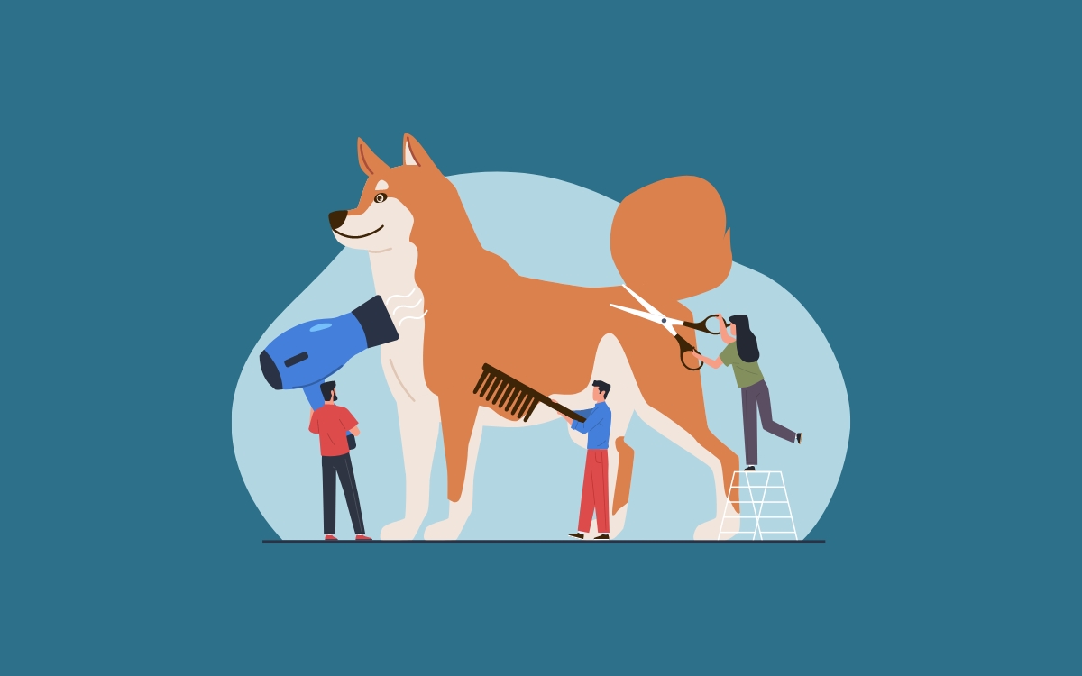 Coat Genetics in Dogs: Why Do Some Breeds Have Long Hair and Others Are Hairless?