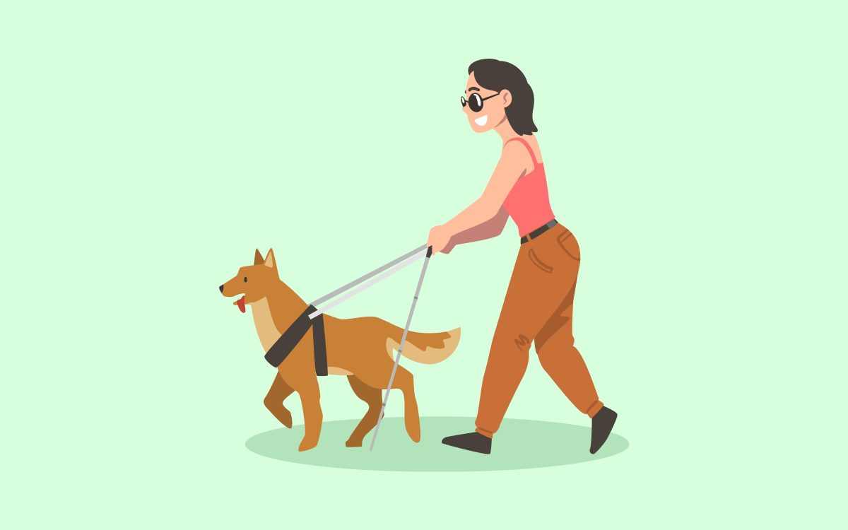 Guide Dogs Breeds: The Most Common and Their Incredible Tasks